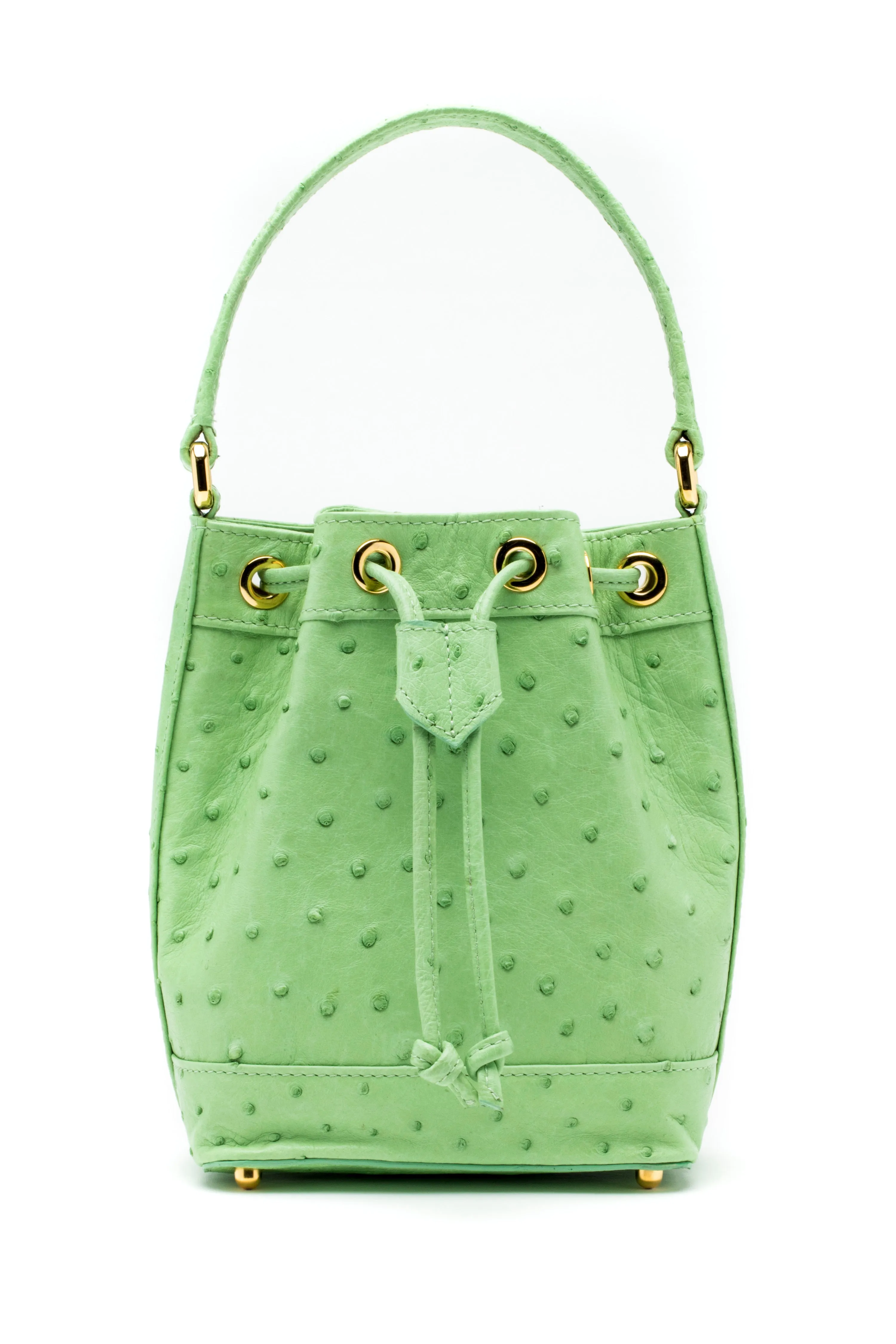 Petite Isla Tote in Lime Ostrich