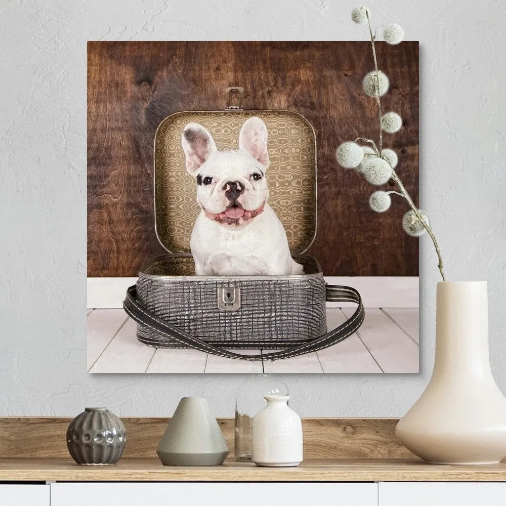 "French Bulldog inside a suitcase" Canvas Wall Art