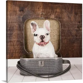 "French Bulldog inside a suitcase" Canvas Wall Art