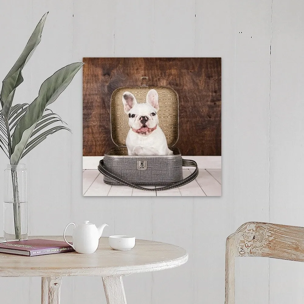 "French Bulldog inside a suitcase" Canvas Wall Art